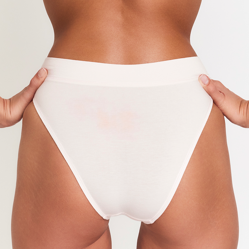 Cheeky Brief 4-Pack