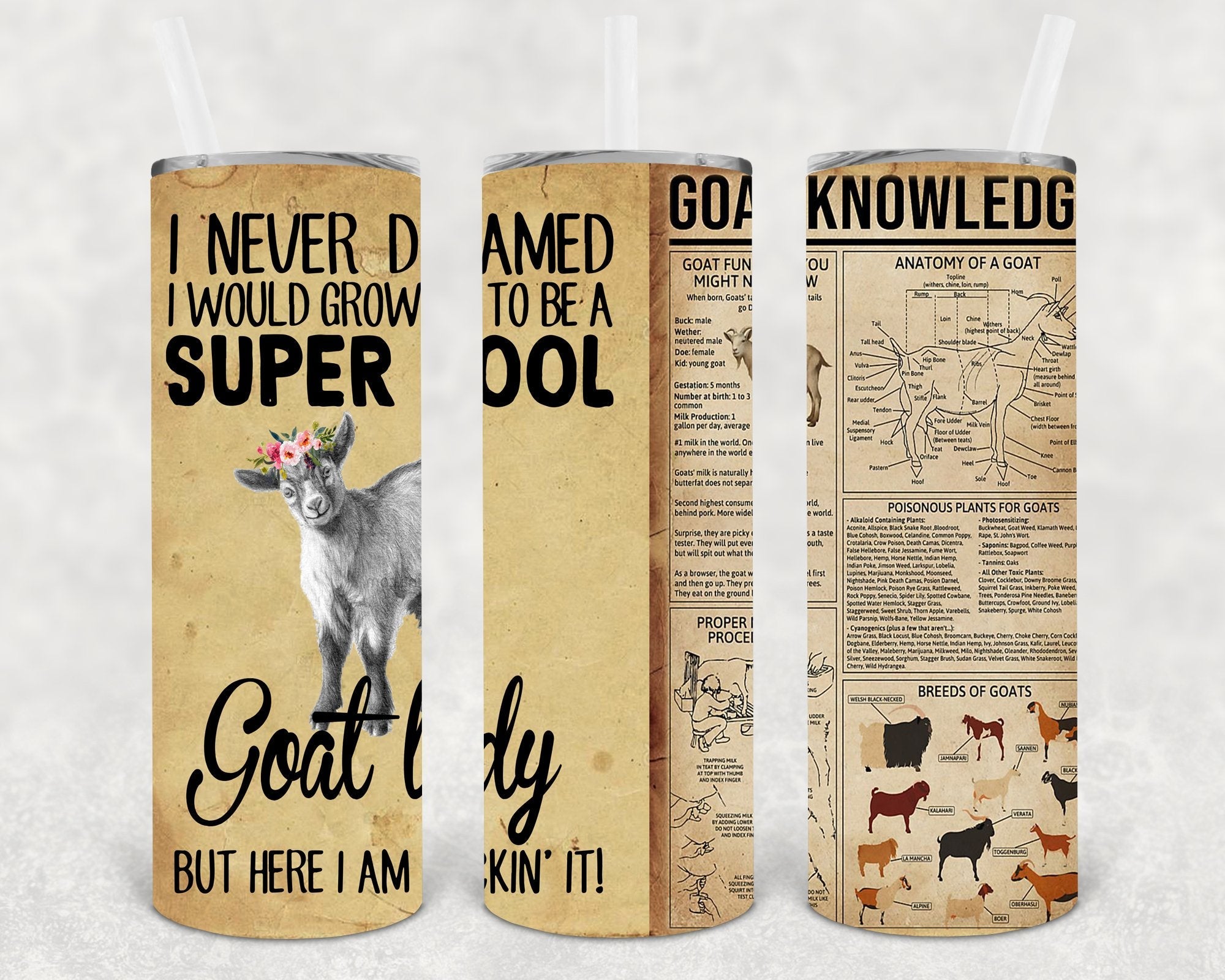 I Never Dreamed I Would Grow Up to Be a Super Cool Goat Lady But Here I am Rockin It 20 oz Skinny Tumbler