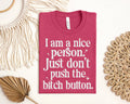 I am a Nice Person Graphic Tee