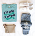 I'm Only Talking to My Dog Today Graphic Tee