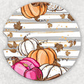 Car Coaster Set - Pumpkins and Stripes