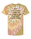 This is Why I Wanted to Stay Home Graphic Tee